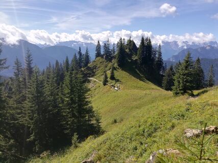 Weg zum Laber