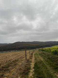 Foto von Giener Zoltán entlang der Tour