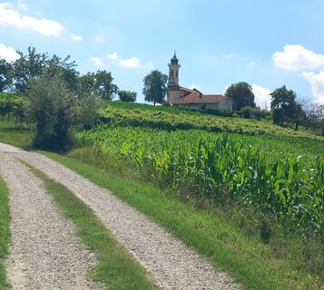Strade Bianche in der Ortschaft Airali di Chieri (TO)