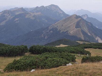 Photo de WaGla le long du parcours