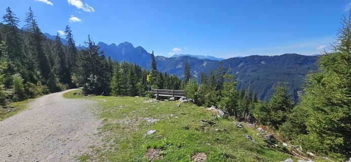 Foto von Alex G 1 entlang der Tour