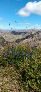 Foto von Anja 9 entlang der Tour