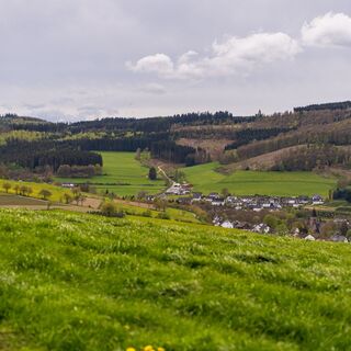 Blick auf Albaum