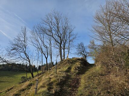 Foto von Bendersnatch 01 entlang der Tour