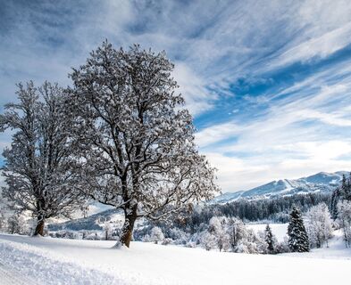 Winterlandschaft am Weg zum Schloss Höch