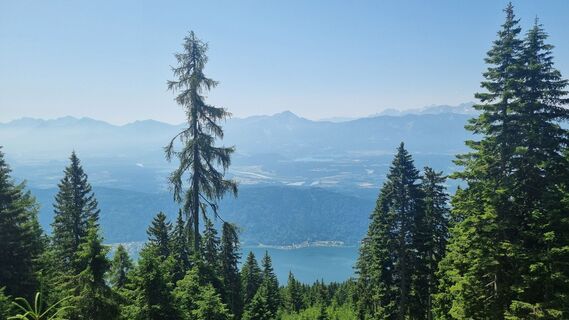 Fotografija s spletne strani Oli Heise na poti