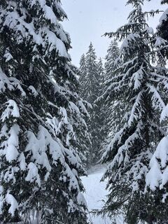 Zdjęcie z Mona Braun wzdłuż trasy