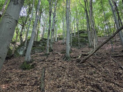 Photo de János Zsolt Mahr le long du parcours