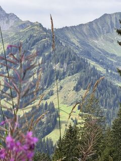 Photo de UliRx le long du parcours