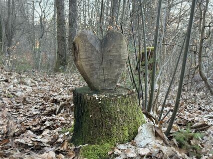 Fotografia z Norbert Herbig na trase
