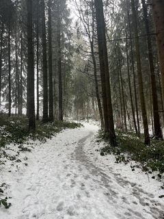 Foto von Clemens Roiß entlang der Tour