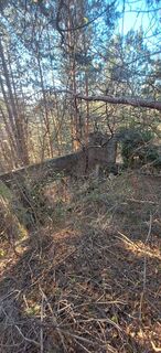 Foto da Markus Ortner lungo il tour