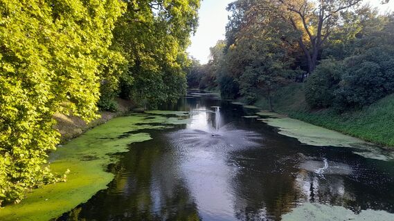 Photo de johpeterseil le long du parcours