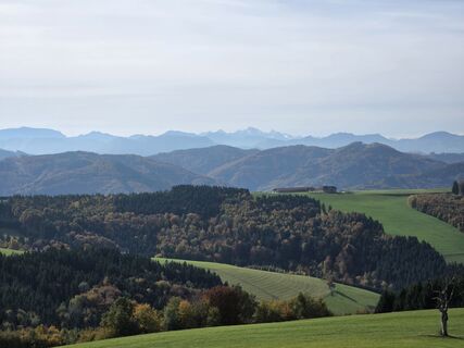 Foto van Michaela Köhler langs de tour