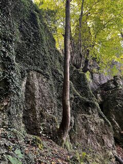 Foto von Michael Wachter 1 entlang der Tour