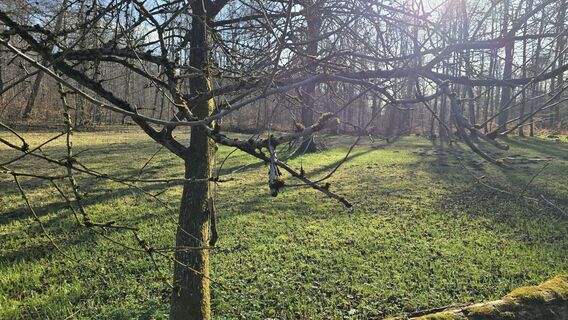 Foto von Katja Senkel entlang der Tour