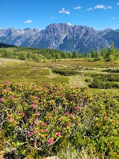 Fotografija s spletne strani mmecki na poti