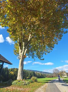 Foto von Monika Beichler entlang der Tour