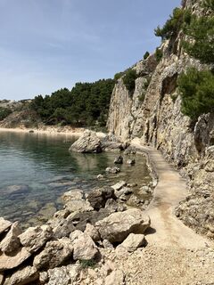 Photo de Daniel Vogel le long du parcours