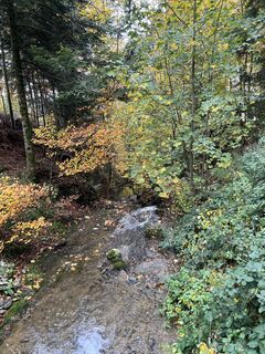 Foto fra Andrea Vogt underveis på turen