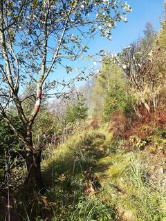 Die Nebelgrenze hinter sich lassen