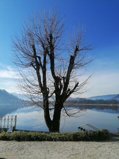 Foto von Dagmar Hofer entlang der Tour