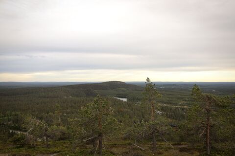Aussicht von den Felsabhängen des Felsenbergs Juhannuskallio auf den bewaldeten Felshügel Pyhävaara in Ruka, Kuusamo