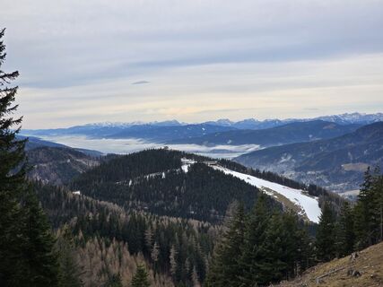 Fotografia z enipeus 65 na trase