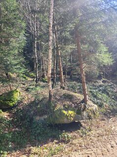 Fotó a Karl Etlinger honlapról a túra során