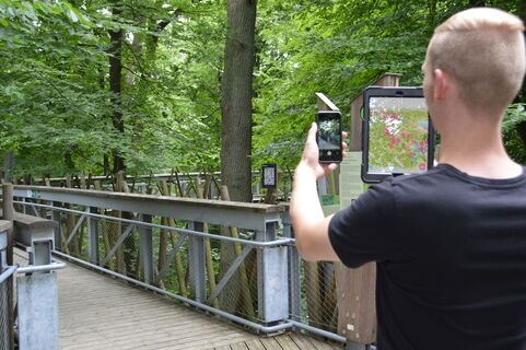 Baumwipfelpfad Bad Iburg_Teutoburger Wald Tourismus.JPG
