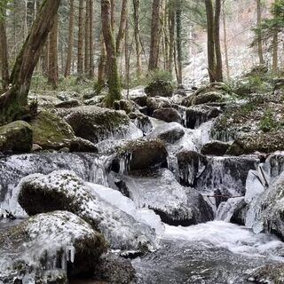Steinbachklamm bei Marbach im Winter