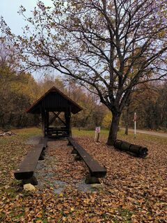 Photo de Darija Forgač le long du parcours