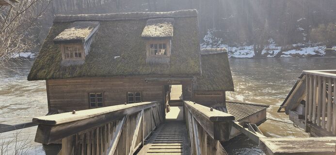 Photo de Sandy le long du parcours