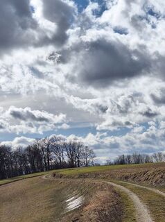 Photo de Mimi le long du parcours