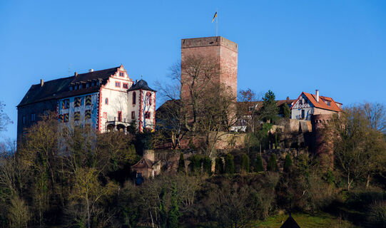Burg Gamburg