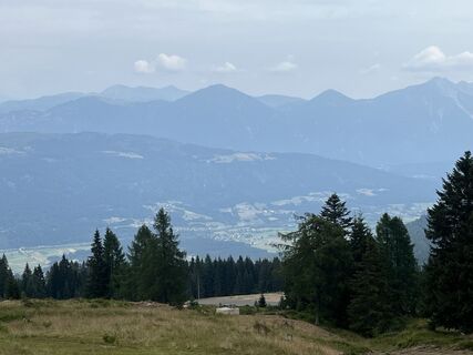 Photo de Oli le long du parcours
