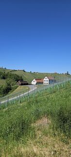 Fotografija s spletne strani Xandi na poti
