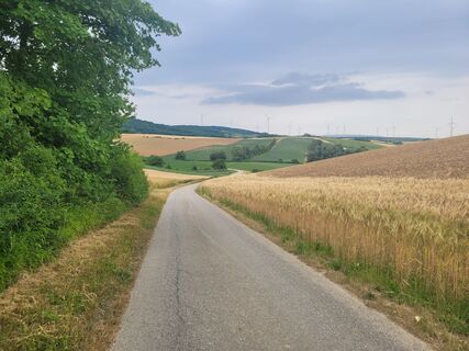 Photo de mmecki le long du parcours