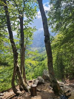 Fotografija s spletne strani Susanrau na poti
