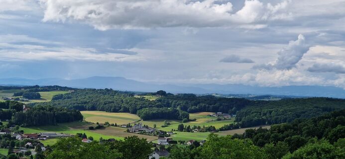 Fotografia z Utassy Tóth Johanna na trase