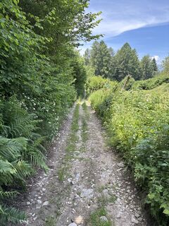 Foto von Heinz Sperl entlang der Tour