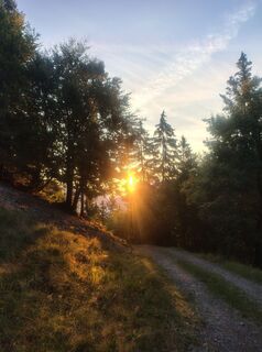 Photo de corrado le long du parcours