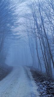 Foto de Grieshofer Gerlinde a lo largo del recorrido