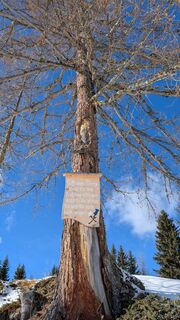 Photo de Pfefferam le long du parcours