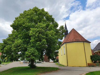 Hofstetten Dorflinde