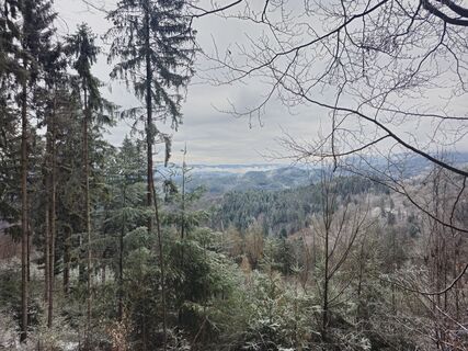 Foto von Maximilian Oehler entlang der Tour