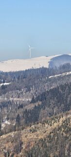 Foto de Siegfried Sauseng a lo largo del recorrido