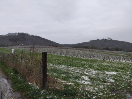 Foto von Poschacher entlang der Tour