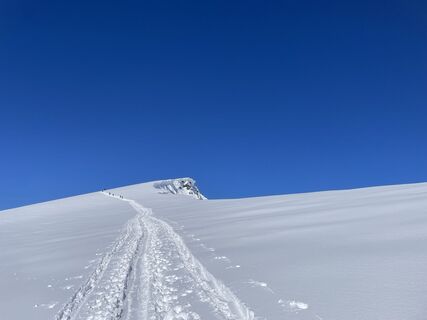 Fotografija s spletne strani Hels Walker na poti