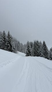 Foto von fabiola reis (frcb) entlang der Tour